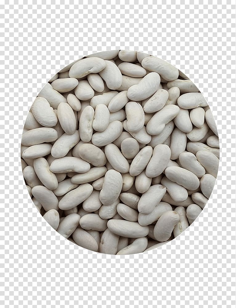 Kuru fasulye Legume Runner bean Lima bean, vegetable transparent background PNG clipart