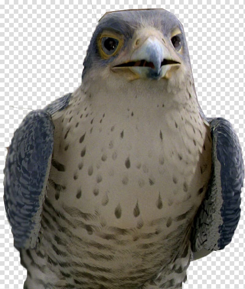 Margalo the Bird The Evil Falcon Snowbell Stuart Little, falcon transparent background PNG clipart