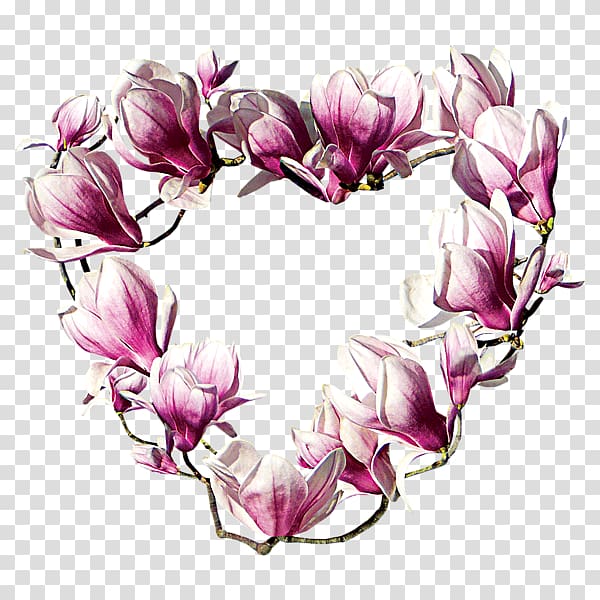 Magnolia Badge Garden club Flower Zazzle, magnolia transparent background PNG clipart