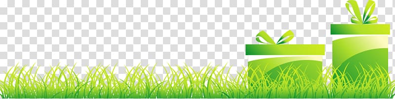 Grasses , Fresh spring grass lawn spree transparent background PNG clipart