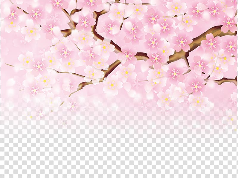 pink cherry blossom tree illustration, Peach Fundal Pink Poster, Pink cherry blossoms transparent background PNG clipart