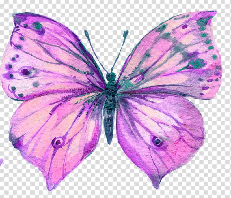 Butterfly Watercolor painting Art, grace transparent background PNG clipart
