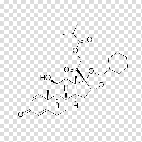 Betamethasone Steroid Medroxyprogesterone Budesonide Beclometasone dipropionate, Gamma Globulin transparent background PNG clipart