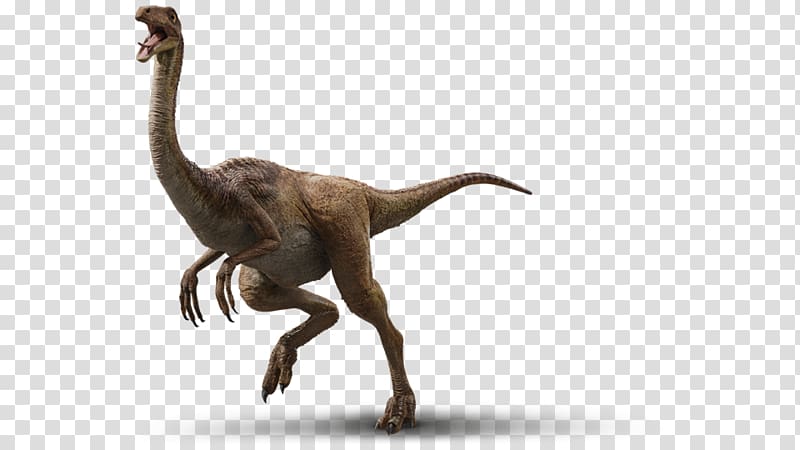 Velociraptor Jurassic Park Gallimimus Dinosaur Isla Nublar, jurassic world fallen kingdom baryonyx transparent background PNG clipart