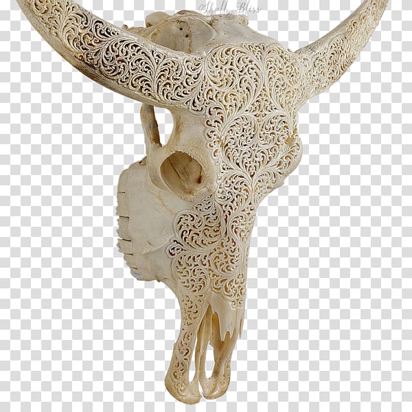 Animal Skulls Skeleton XL Horns Cattle, buffalo skull transparent background PNG clipart