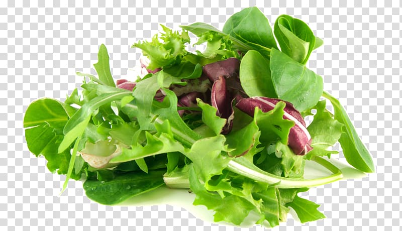 Mesclun Organic food Spinach salad Leaf vegetable, Macaroni Salad transparent background PNG clipart