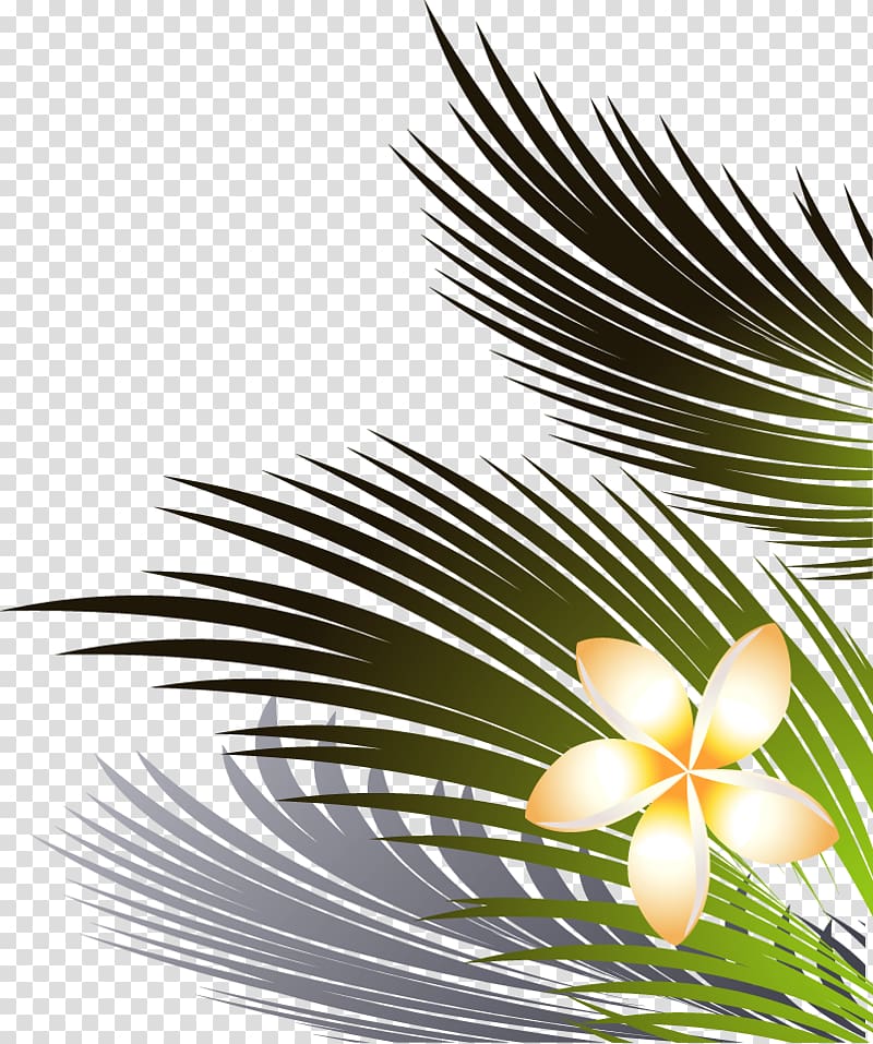 Coconut leaves and flowers right lower transparent background PNG clipart