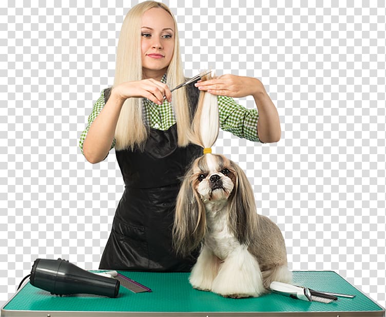 Dog grooming Cat Pet Web template system, Dog transparent background PNG clipart