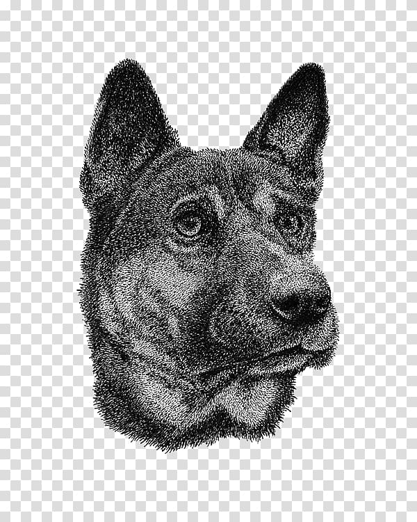 Norwegian Elkhound Australian Cattle Dog Rare breed (dog) Drawing Illustration, Hand-drawn illustration dog transparent background PNG clipart
