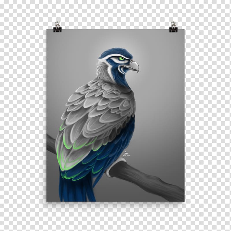 Seattle Seahawks Macaw Bird of prey Art, seattle seahawks transparent background PNG clipart