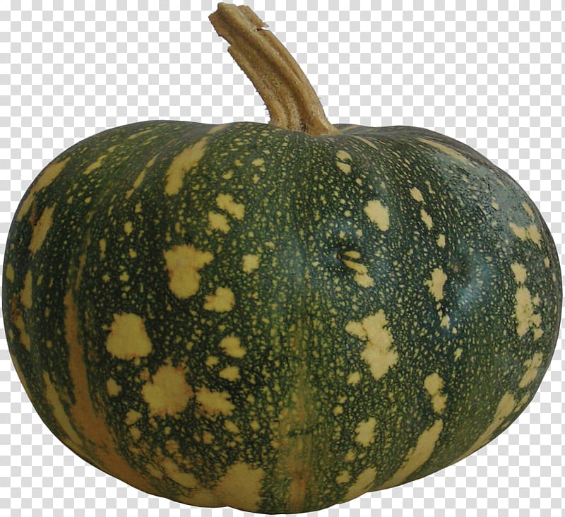 Pumpkin Figleaf Gourd Calabaza Melon Winter squash, melon transparent background PNG clipart