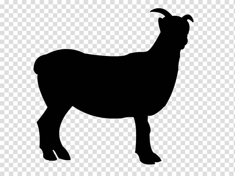 Sheep Boer goat , Free Sheep transparent background PNG clipart