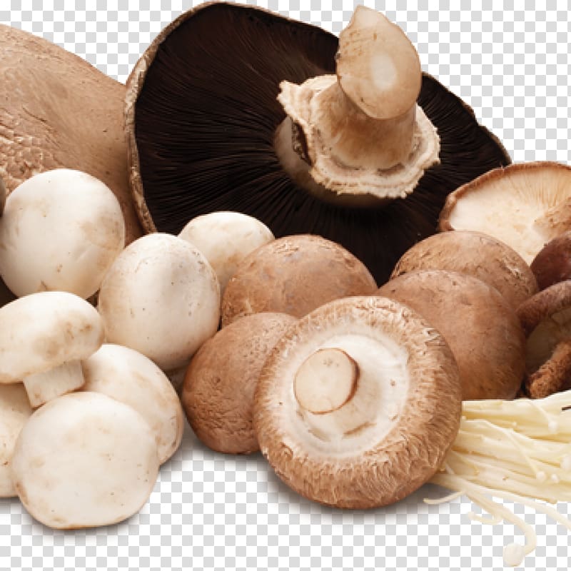 Common mushroom Edible mushroom Food Vegetable, mushrooms transparent background PNG clipart