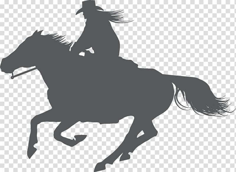Equestrian American Quarter Horse Stallion English riding Dressage, horse riding transparent background PNG clipart