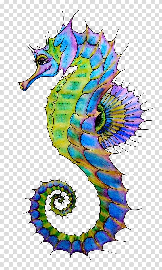 green and purple seahorse illustration, Seahorse Drawing Art , hippo transparent background PNG clipart