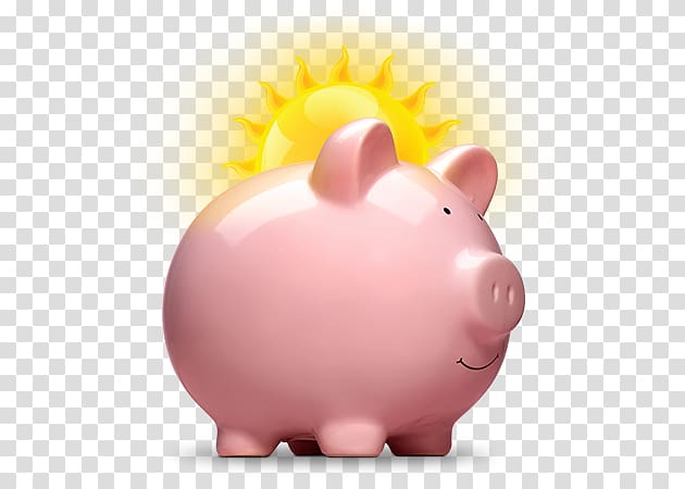 Piggy bank Saving Finance , a sunny day transparent background PNG clipart