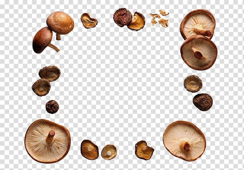 The Worlds Healthiest Foods Mushroom frame Shiitake, Shiitake mushrooms Shiitake ring circle transparent background PNG clipart