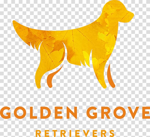 Golden Retriever Nova Scotia Duck Tolling Retriever Labrador Retriever Puppy, golden retriever transparent background PNG clipart