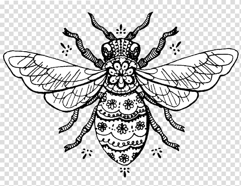 Western honey bee Manchester Worker bee Drawing, bee transparent background PNG clipart