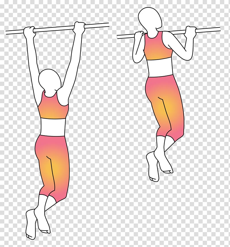 Shoulder Human leg Hip Exercise Muscle, pull&bear transparent background PNG clipart