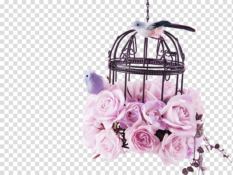 two birds beside pink floral bird cage poster, Birdcage Pastel Flower, Pink flower rose bird cage decoration pattern transparent background PNG clipart