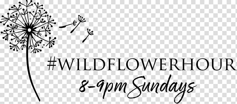 Wildflower Black and white Borages, flower transparent background PNG clipart