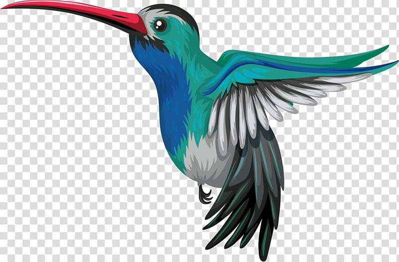 Hummingbird Drawing Illustration, Lovely Blue Parrot transparent background PNG clipart