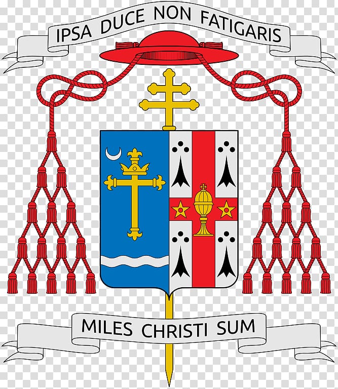 Coat of arms Heraldry Vatican City Cardinal Catholicism, transparent background PNG clipart