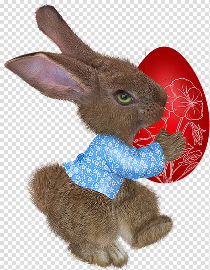 Easter Bunny Domestic rabbit Paschal greeting, easter rabbit easter transparent background PNG clipart