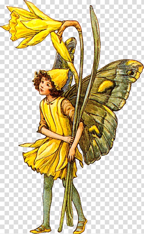 The book of the flower fairies A Flower Fairy Alphabet Flower Fairies of the Garden Flower Fairies of the Spring, Cicely Mary Barker transparent background PNG clipart