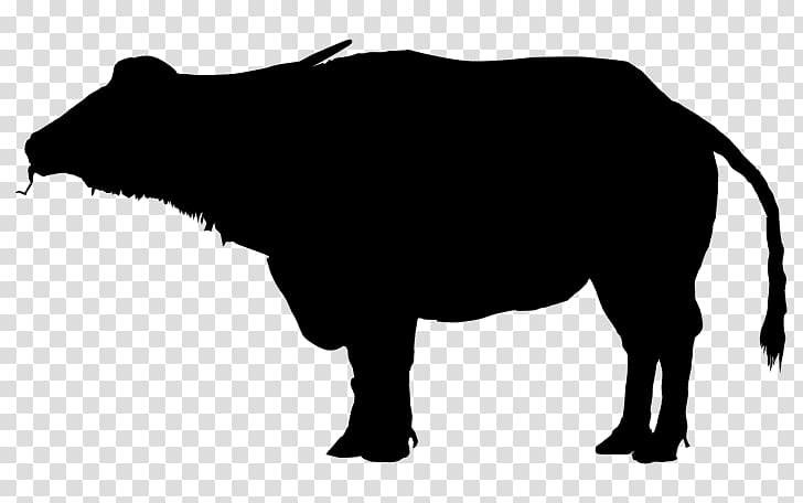 Water buffalo Bison Silhouette , bison transparent background PNG clipart