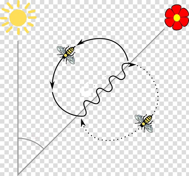 Western honey bee Insect Round dance, bee transparent background PNG clipart