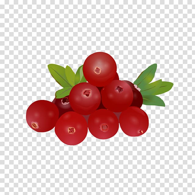 Gooseberry Barbados Cherry Huckleberry Lingonberry Cranberry, exquisite transparent background PNG clipart