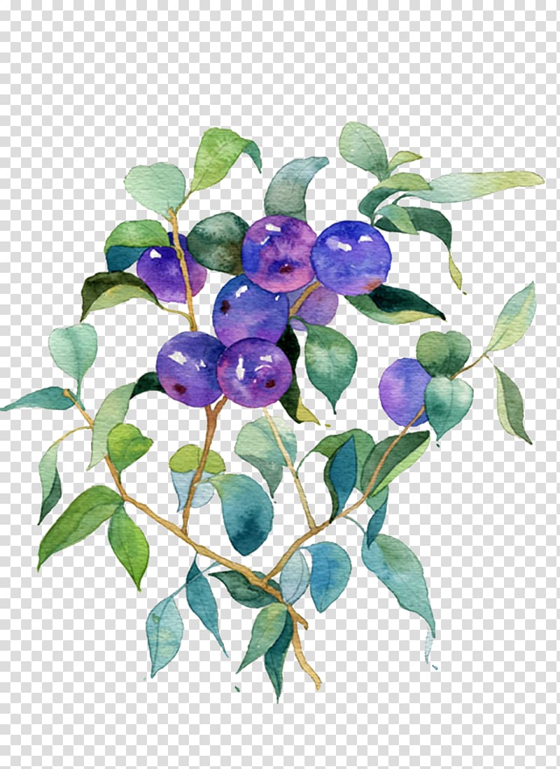Blueberry Fruit, Wild Blueberry material transparent background PNG clipart