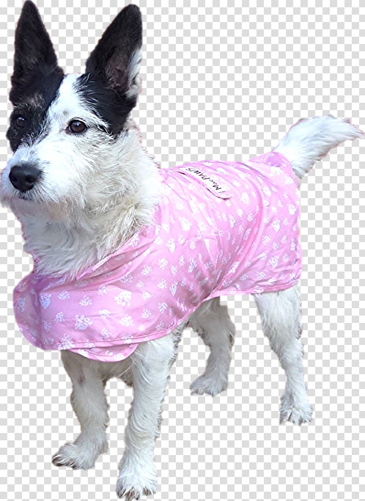 Dog breed Raincoat Pet, Dog transparent background PNG clipart