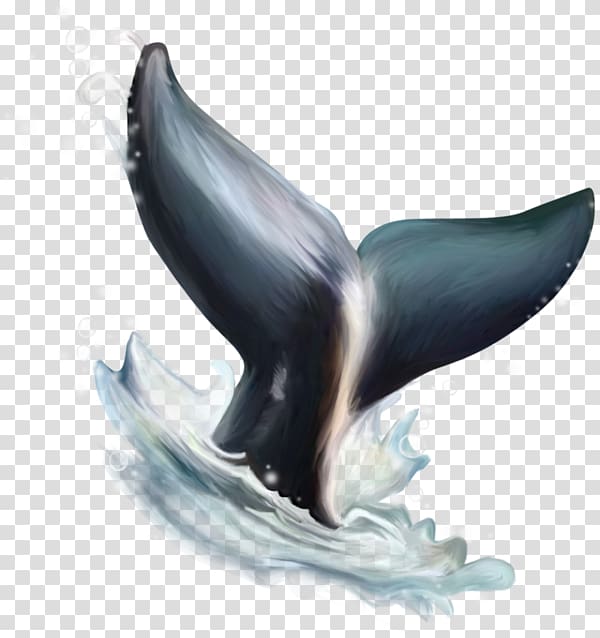 whale's tail, Dolphin Watercolor painting , Dolphin\'s tail transparent background PNG clipart