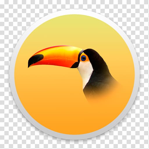 Bird Toucan Piciformes Beak Animal, toucan transparent background PNG clipart