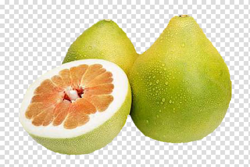 Pomelo Tropical fruit Citrus × sinensis Citrus fruit, Pamela transparent background PNG clipart
