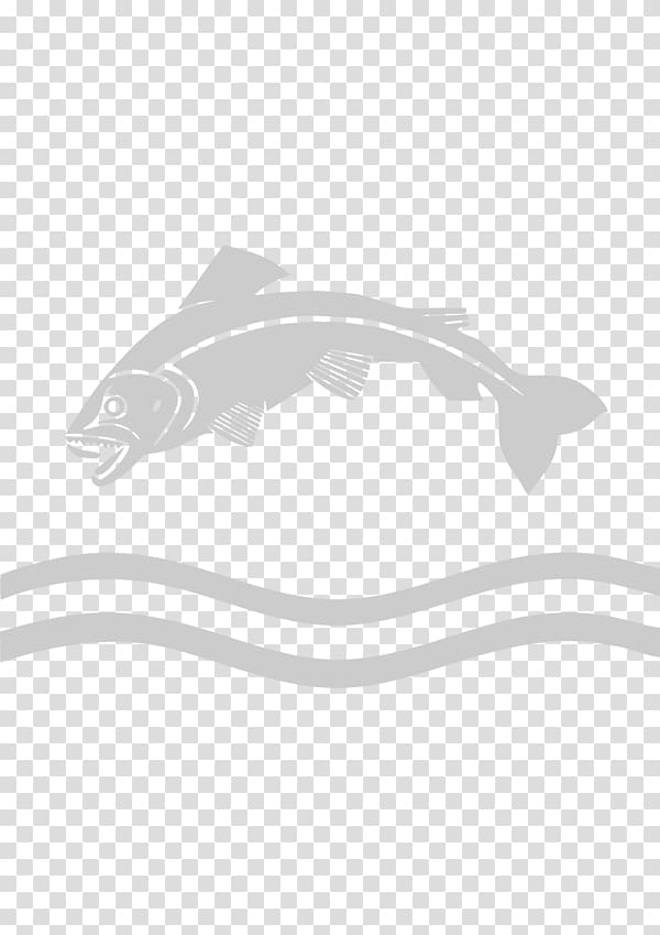 Tullie House Museum and Art Gallery Marine mammal White, others transparent background PNG clipart