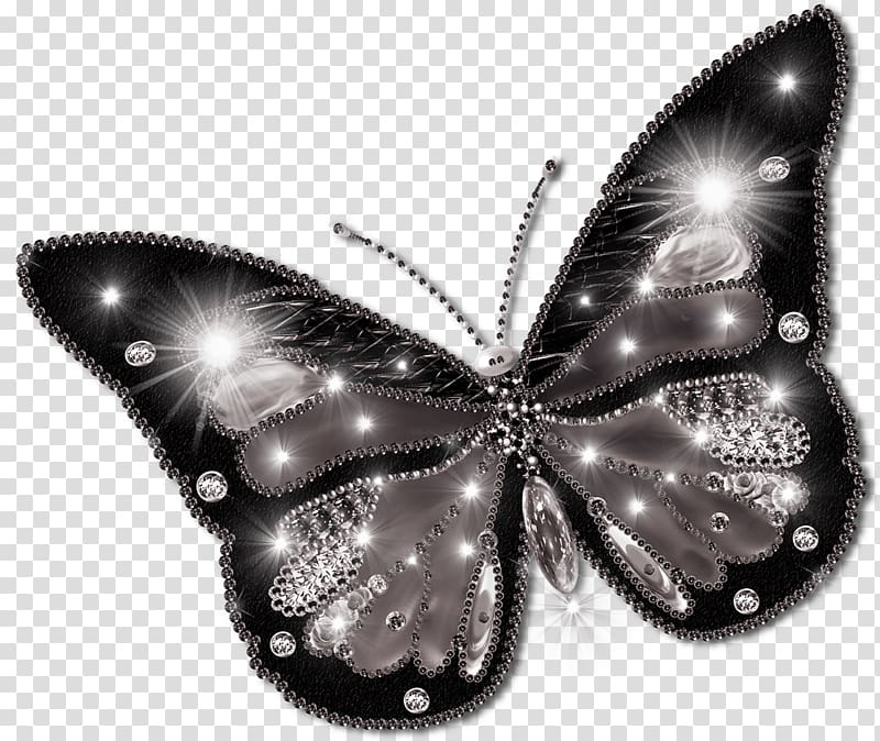 Nymphalidae Butterfly Moth White Color, butterflies transparent background PNG clipart