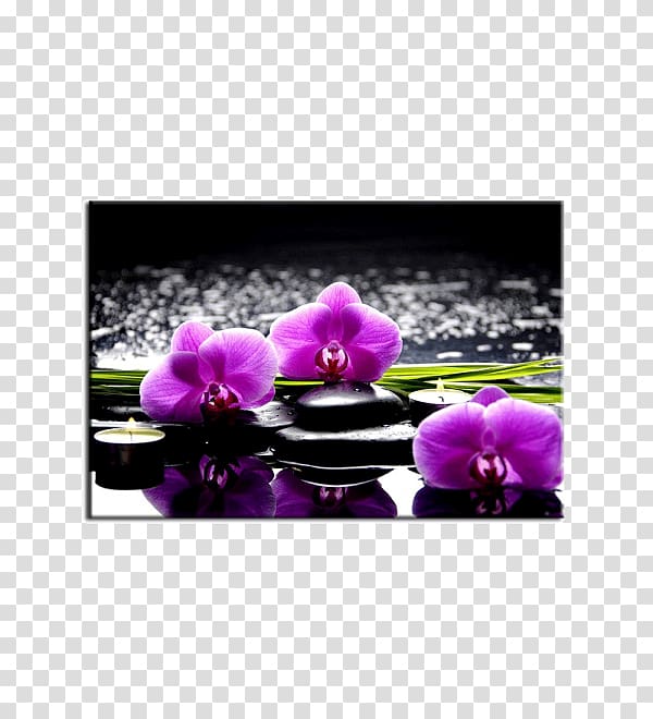 painting Orchis Orchidea Flower Orchids, painting transparent background PNG clipart