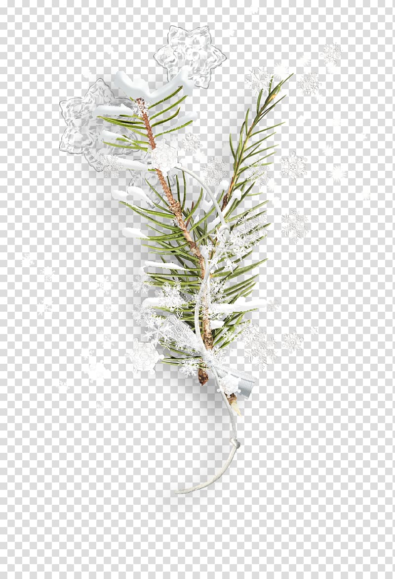 Twig Branch Snowflake Leaf, Snowflake foliage transparent background PNG clipart