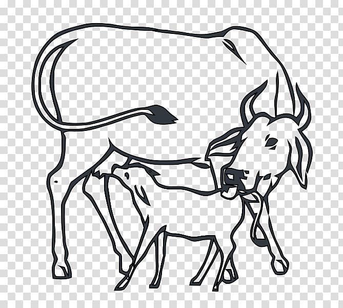 Calf Hereford cattle Square Meater White Park cattle Angus cattle, calf transparent background PNG clipart
