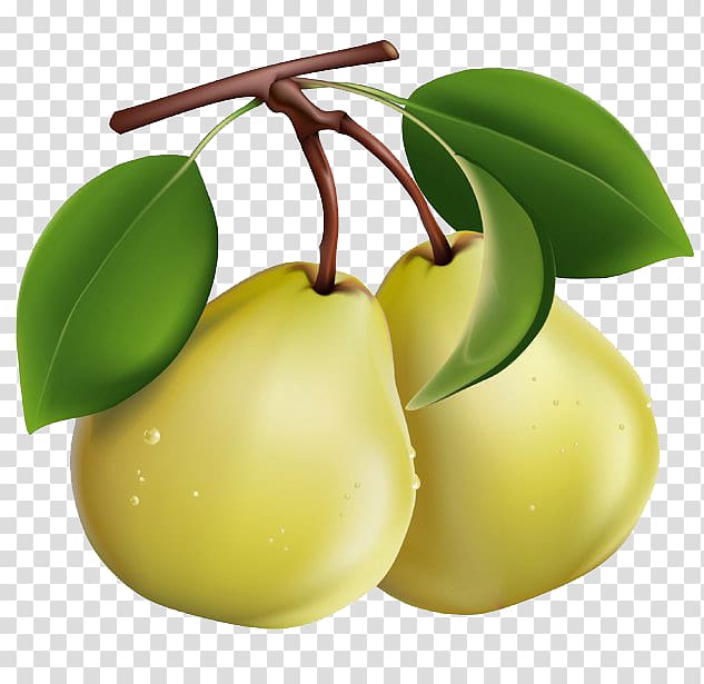 Pear Berry Fruit , pear transparent background PNG clipart