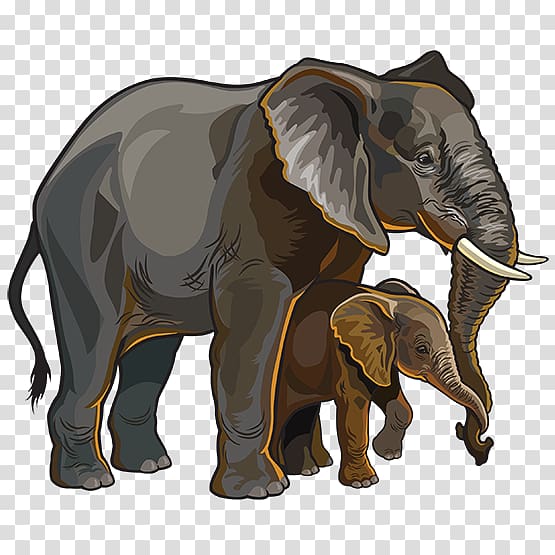 African elephant , elephant transparent background PNG clipart