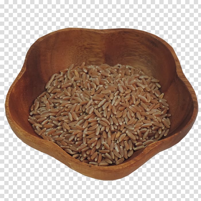 Emmer Whole grain Einkorn wheat Farro Wheat berry, whole wheat transparent background PNG clipart