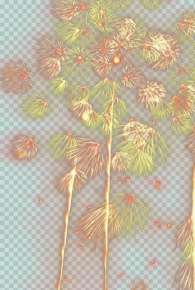 Petal Floral design Leaf Pattern, Fireworks transparent background PNG clipart
