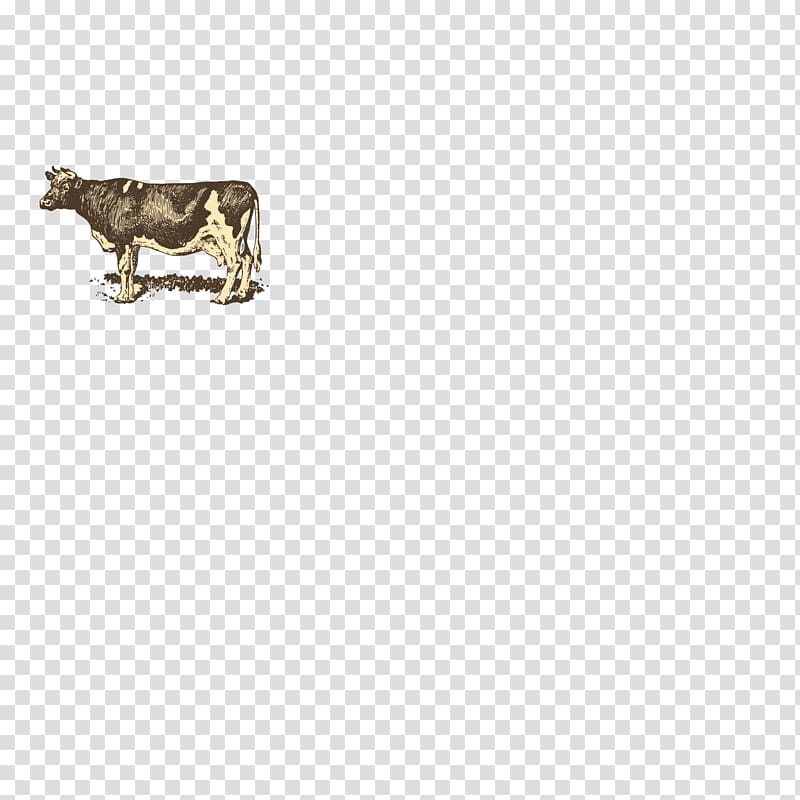 Chicago Bulls Die Flooring EEF Pattern, Pasture animal bull transparent background PNG clipart