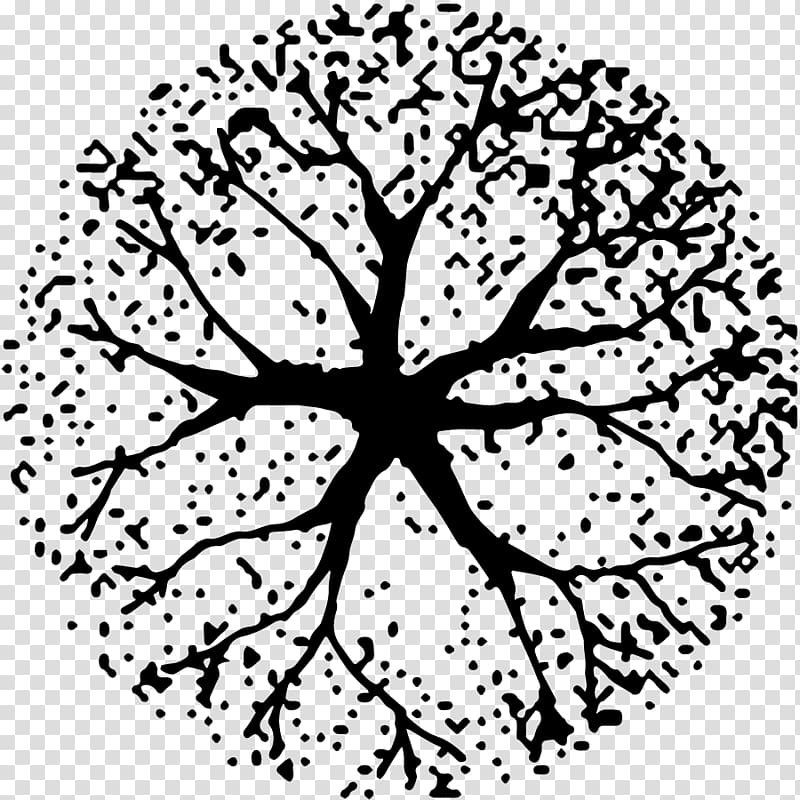 black tree illustration, Tree Black and white Site plan, tree plan transparent background PNG clipart