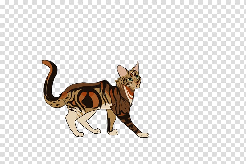 Cat Canidae Dog Fauna Mammal, break rules consequences transparent background PNG clipart